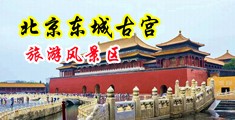 肏死你小穴中国北京-东城古宫旅游风景区